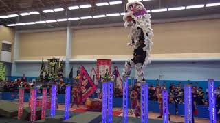 全港公開龍獅藝錦標賽2017 HK Open Dragon Lion Dance 2017 香港張強國術總會 Cheung Keung 20171203