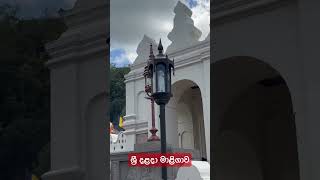 Temple of toothrelic | sri Lanka | වාම ශ්‍රී උතුම් දළදා වහන්සේ වන්දනාව| ඔබත් සාදු කියා වන්දනා කරන්න