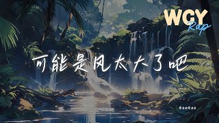 GooGoo - 可能是风太大了吧「可能是风太大了吧 眼泪才会止不住的流」【動態歌詞/Lyrics Video】#GooGoo #可能是风太大了吧 #動態歌詞