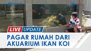 Videonya Viral, Begini Penampakan Asli Pagar Rumah dari Akuarium Berisi Ikan Koi di Malang