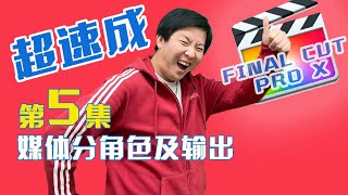 【FCPX剪辑教程】超速成05：媒体分角色及输出 final cut pro x