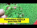 how to propagate azolla in easy way.