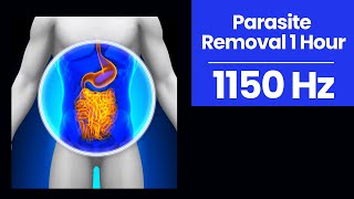 1150 Hz Frequency for Parasite Cleansing | Rife Frequency for Total Body Balancing 1Hr Black Screen