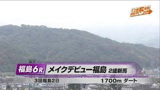 【2歳新馬/オーケーバーディー】メイクデビュー福島［2023.11.5 福島第6R/1700m ダート］