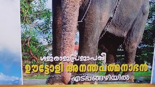 ഉട്ടോളി അനന്തൻ സ്വീകരണം vlog-3 #shots #കേരളം #elephant #uttolyananthan