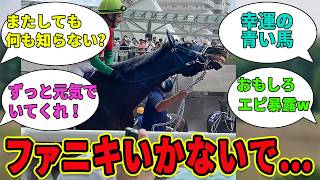 【マイネルファンロン】ついに引退へ…第2の馬生を応援‼に対するみんなの反応集【競馬の反応集】