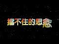 擋不住的思念 特效 karaoke 字幕