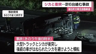 東北道で大型トラックがシカと衝突　6台絡む事故で2人ケガ　下り一部区間が一時通行止め＜福島・鏡石町＞ (23/07/25 11:57)