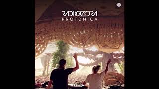 Protonica 2019 Mix