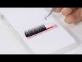 easy fanning lash extensions by bl lashes