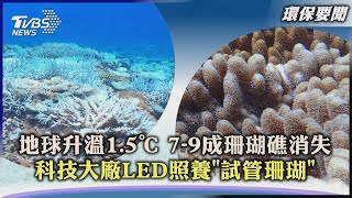 【環保要聞】地球升溫1.5℃ 7-9成珊瑚礁消失 科技大廠LED照養「試管珊瑚」｜TVBS新聞 2023.07.05@TVBSNEWS02