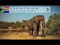 Südafrika 🇿🇦 Kruger National Park Selbstfahrer Safari - Panorama Route | Road Trip 2023 (3/3)