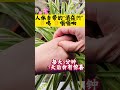 511 每天3分钟，坚持7天会有惊喜哟 每天坚持锻炼会有不一样的收获 健康小妙招 手部穴位按摩 小动作大作用贵在坚持 关注我跟我涨知识一起锻炼💪