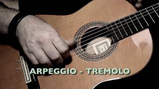 Unified Fingerstyle Mastery - Arpeggio and Tremolo