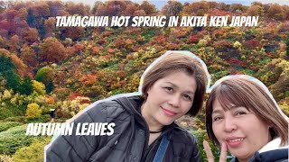 Popular Hot Spring in Akita Ken Japan