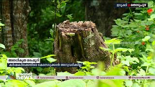 അനധികൃത മരംമുറി: വനംവകുപ്പിനെതിരെ ഹൈറേഞ്ച് സംരക്ഷണ സമിതി High range samrakshana samithi