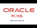SQLERRM & SQLCODE Function in PL SQL