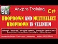 Selenium with C# 20 - Selenium Select Element - Handling of drop down and multi select dropdown menu