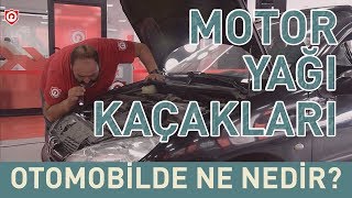 Motor Yağı Kaçakları kontrolü I Otomobilde Ne, Nedir?