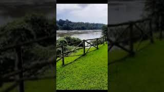 മനോഹരമായ ഒരു പ്രകൃതി ഭംഗി #nature #youtubeshorts #naturelovers