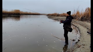 ЗНОВУ ХИТРИЙ МІНІ РВАЧ ОБЛОВИВ УСІХ. Зимова риболовля на спінінг