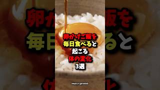 🌸50万回再生🌸卵かけご飯を毎日食べると起こる身体の変化3選 #健康 #雑学