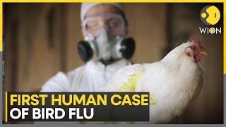 Mexico: WHO confirms world's first human bird flu death | Latest News | WION