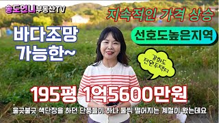 [전속중개] 바다조망 가능한 강화군 화도면 전원주택지/가격조정가능/도로지분 별도 있슴/강화도토지/송도언니TV ☎032-858-0555