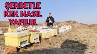 Şerbetle arı Kek Nasıl Yapılır | Detaylı Anlatım ne fayda