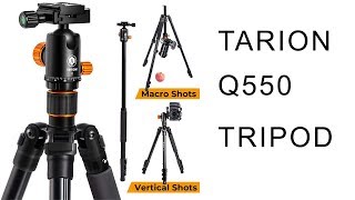 Gear Review - Tarion Q550 Tripod