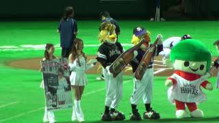 2013.7.4 SoftBank Hawks Honeys