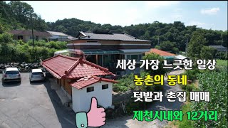 (물건번호/320) #여기#시내가깝고 한적한동네 여기가 전원생활이야#텃밭 과 집#매매의뢰가격2억3000만원