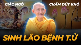 ĐỜI LÀ VÔ THƯỜNG, Nghe Để Giác Ngộ Bớt Khổ Trong Cuộc Sống - Thầy Thích Giác Khang