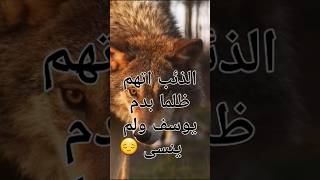 اتهموا الذئب ظلما باكل سيدنا يوسف ولم ينسى ذلك ابدا  #حيوانات #animals