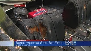 Serial arsonist sets six fires