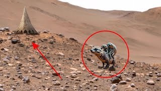 NASA Mars Perseverance Rover Sand Latest Mars 4k Stunning Video Footage Sol 485 : Mars in 4k