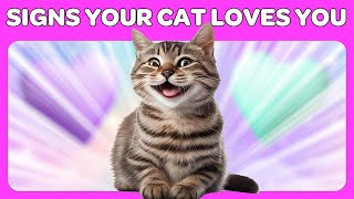 10 Signs Your Cat Loves You More Than Anything