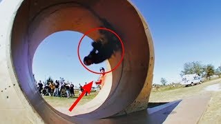 Jackass Number 2 - Miniloop