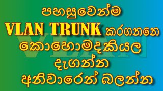 How to Vlan Trunking Packet Tracer Sinhala (ලේසියෙන්ම vlan Trunk කරමු )  | Chamo Bro