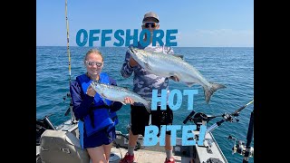 Offshore Salmon LIMIT! Kings, Coho and Lake Trout. East of Chicago on Lake Michigan 6/21/2024