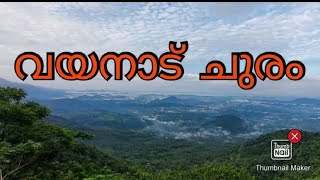 വയനാട് ചുരത്തിലെ കാഴ്ചകൾ…..Thamarassery Churam #kerala #wayanad #tourism #cleaning #forest