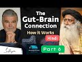 #part6 Gut Microbiome, Fermented Foods & the Power of Your Second Brain |Dr. Emeran Mayer & Sadhguru