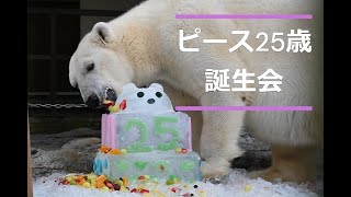 ピース25歳の誕生会(2024年12月7日)