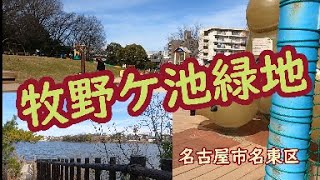 牧野ケ池緑地　東口から牧野池に沿って歩いてみた