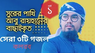 কলরবের আবু রায়হানের বাছাইকৃত সেরা ৩ গজল | top islamic song by Abu Rayhan kalarab| best bangla gojol