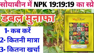 सोयाबीन में NPK 19:19:19 का स्प्रे कब करें || Soyaben Me NPK 19:19:19 Ka Spray || Soyaben Ki Kheti