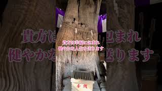 ⚠️おめでとうございます！※この動画を見るだけで貴方は健康長寿！【神明神社 長寿の館】 #健康長寿 #病気平癒 #運気上昇 #スピリチュアル #パワースポット #遠隔参拝 #shorts