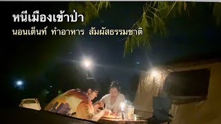 VLOGกางเต็นท์ ทำอาหาร พาหมาวิ่งเล่น ที่ธารทิวผา ชลบุรี Camping in Chonburi, Thailand.|Hattha Channel