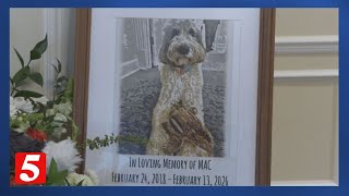 Beloved funeral home dog passes away after comforting thousands of grieving families