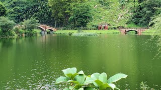 2021-04-22環台灣島旅遊Day4富里農會-南安遊客中心-大同餐廳-富源國家森林遊樂區-吉利潭-池南身林遊樂區